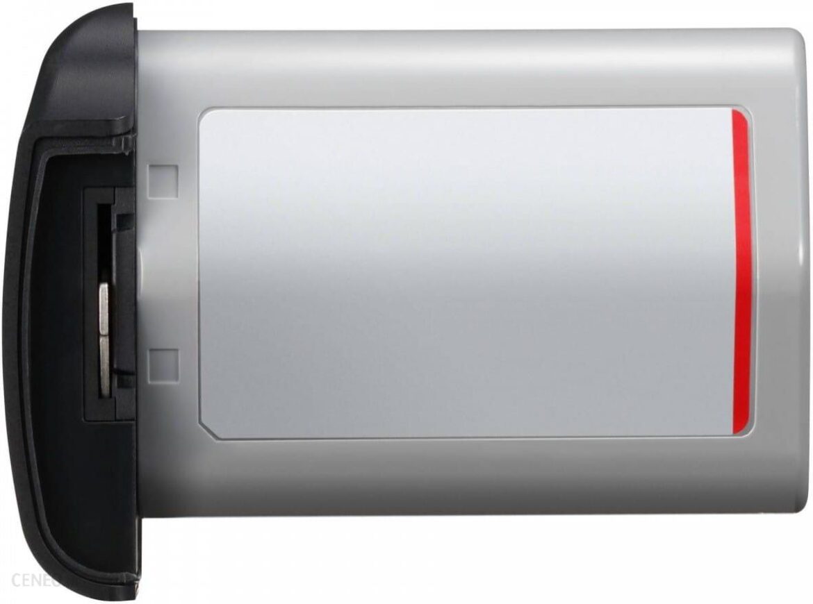 Canon LP-E19 (1169C002AA)