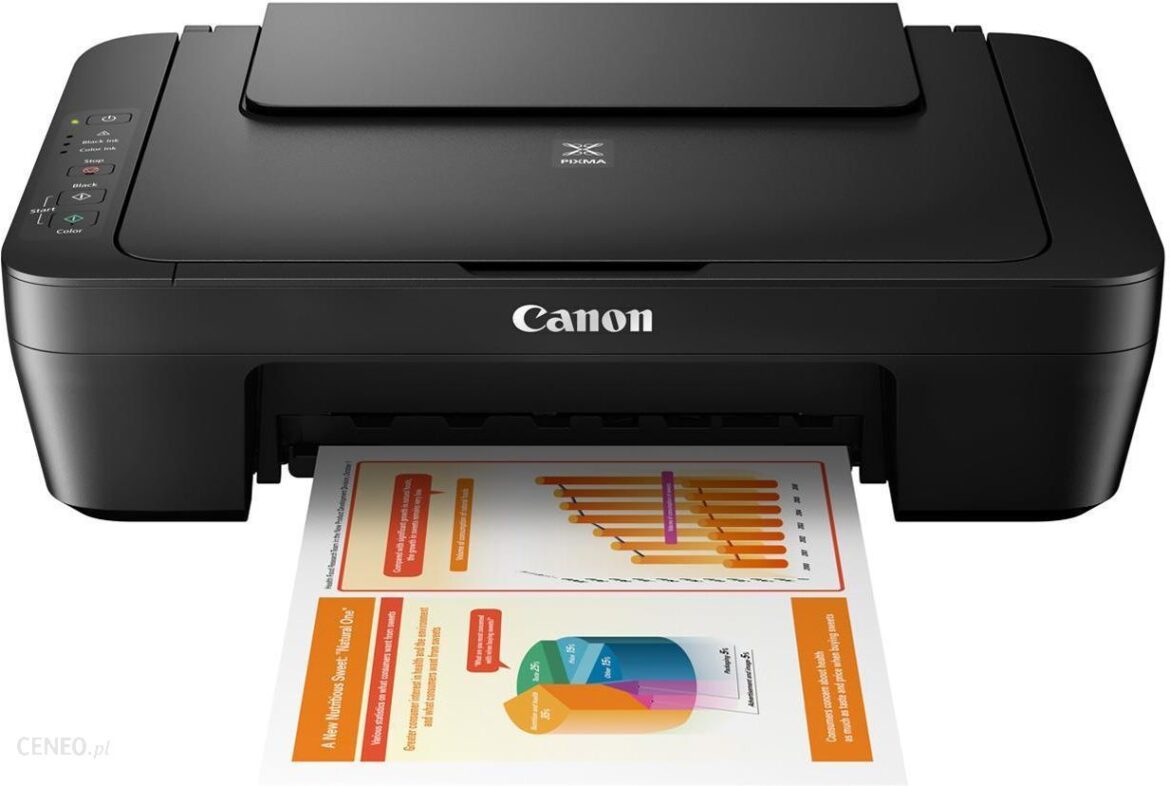 Urządzenie wielofunkcyjne Canon PIXMA MG2555S (0727C026BA)