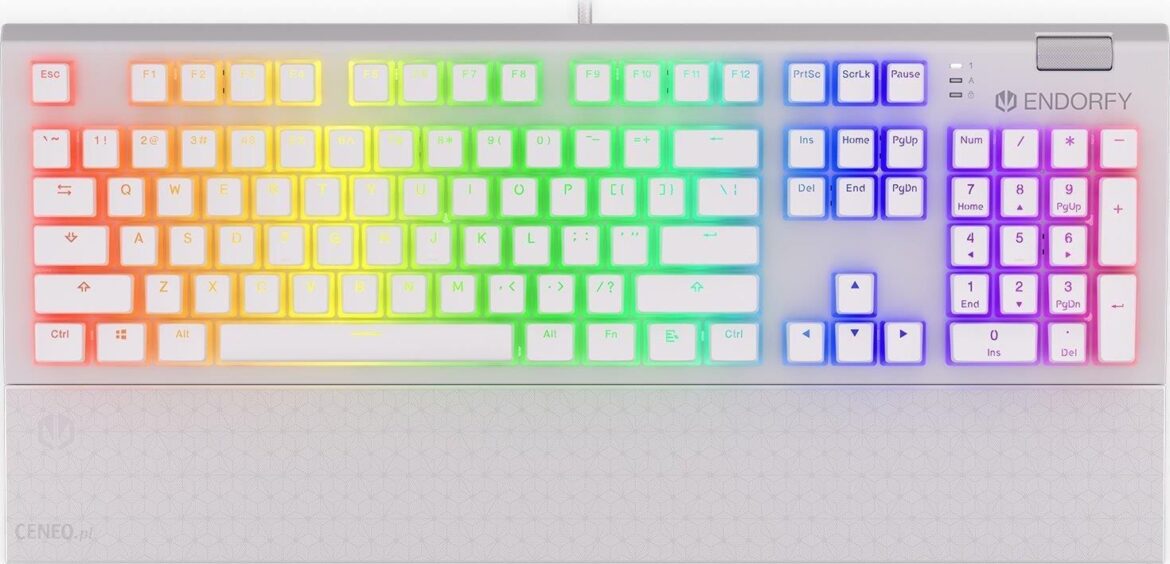 Endorfy Omnis OWH P Kailh RD RGB (EY5A036)