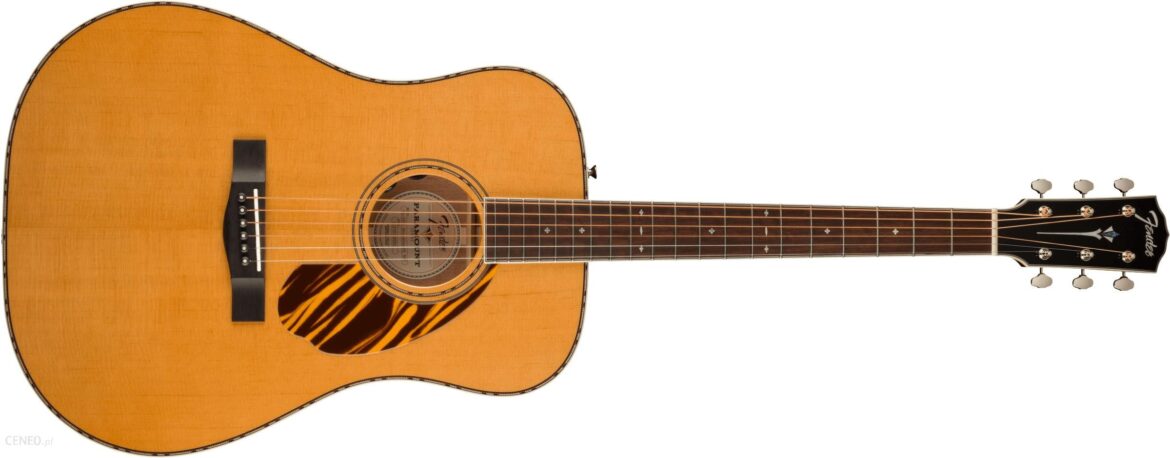 Fender PD-220E DREAD W/C, NAT